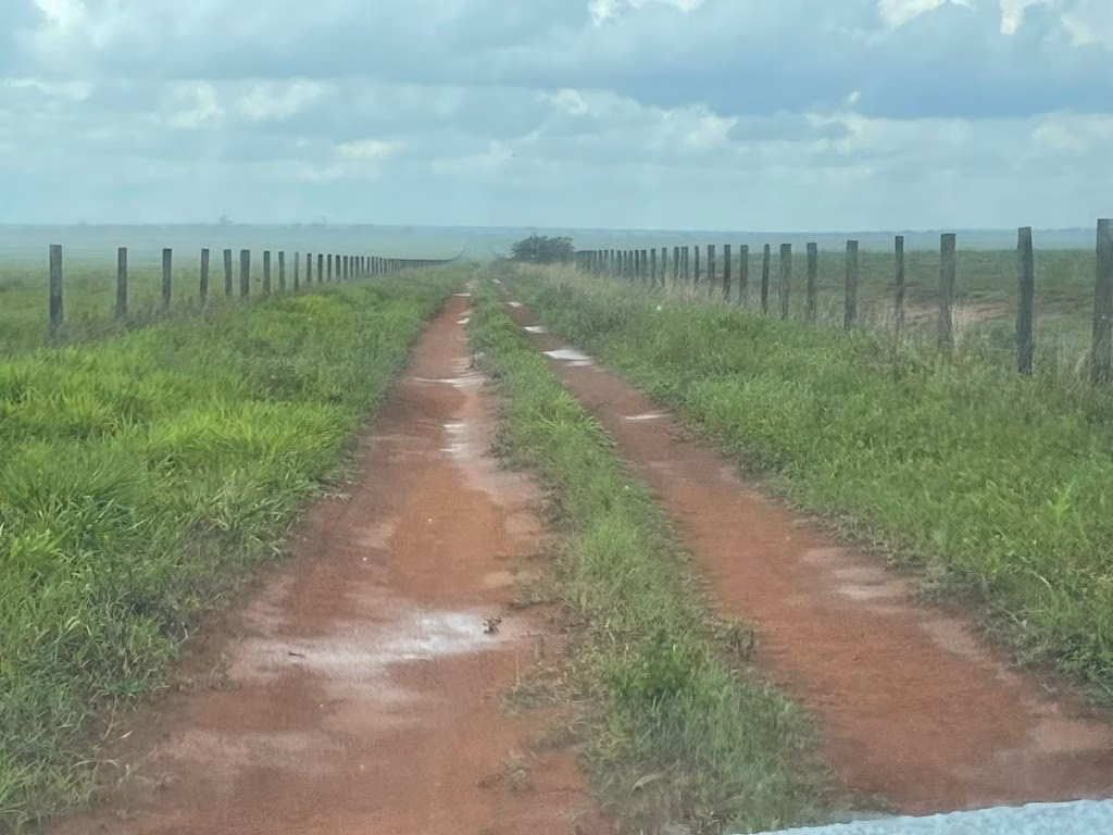 Fazenda de 7.000 ha em Feliz Natal, MT