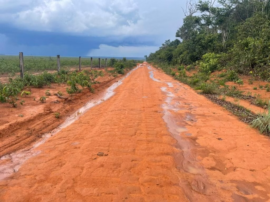 Fazenda de 7.000 ha em Feliz Natal, MT