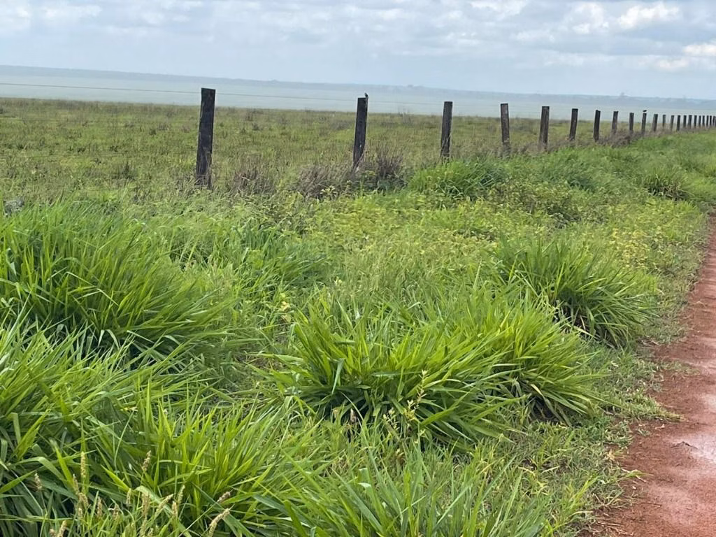 Fazenda de 7.000 ha em Feliz Natal, MT