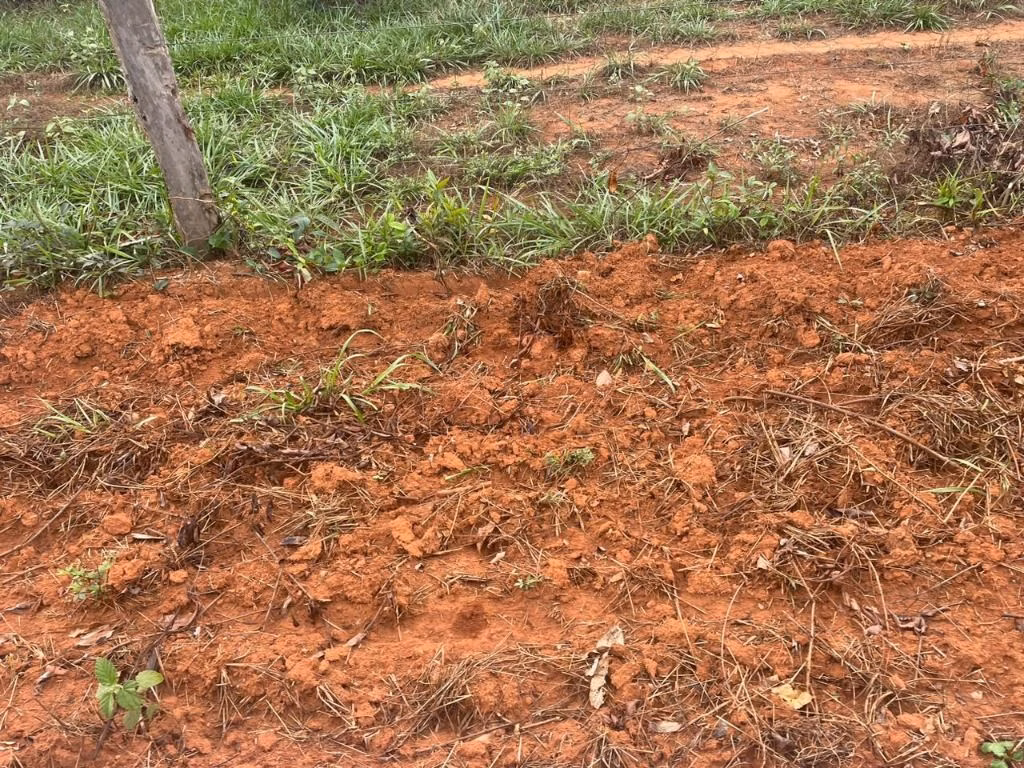 Fazenda de 7.000 ha em Feliz Natal, MT