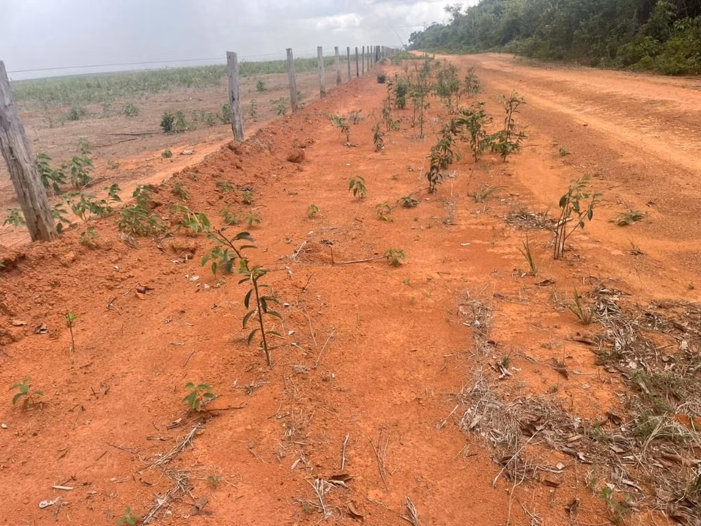 Fazenda de 7.000 ha em Feliz Natal, MT