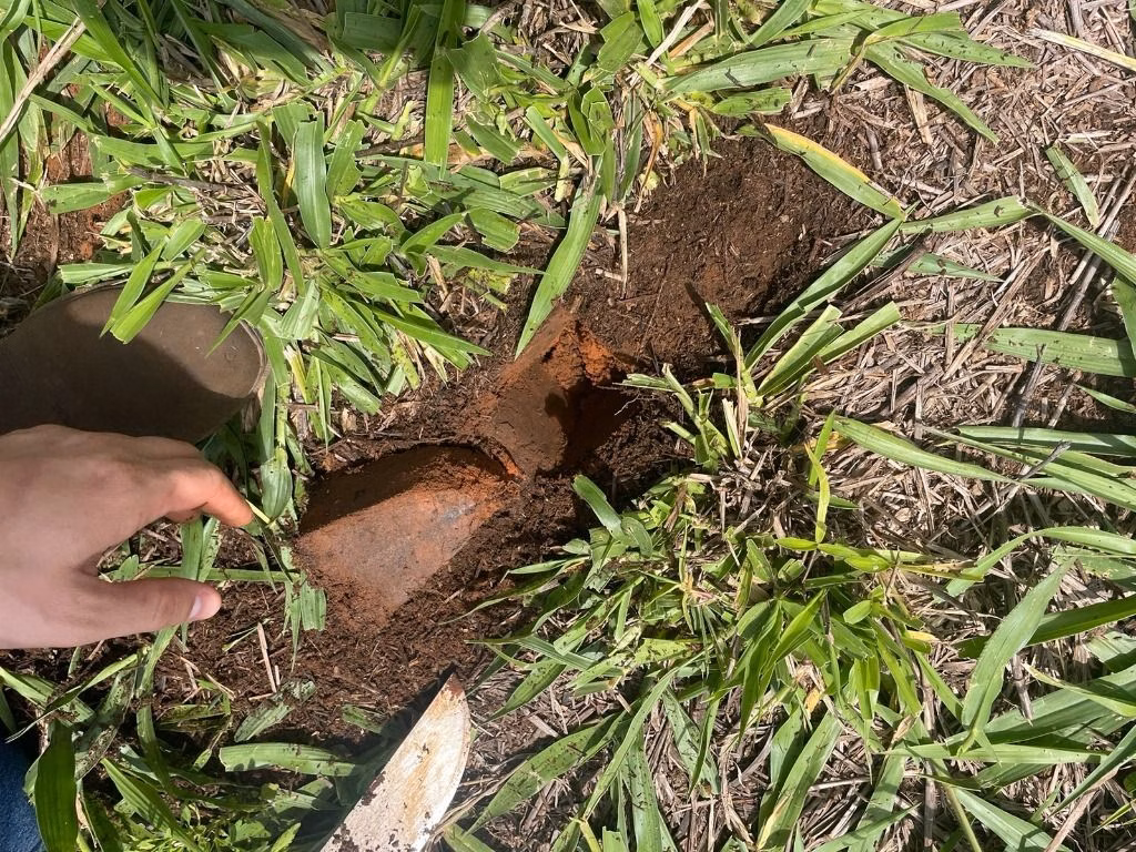 Fazenda de 7.000 ha em Feliz Natal, MT