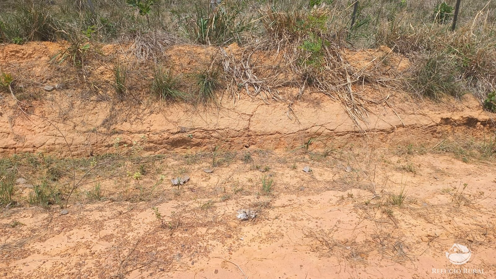 Fazenda de 242 ha em Juscimeira, MT