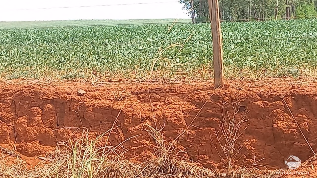 Fazenda de 242 ha em Juscimeira, MT