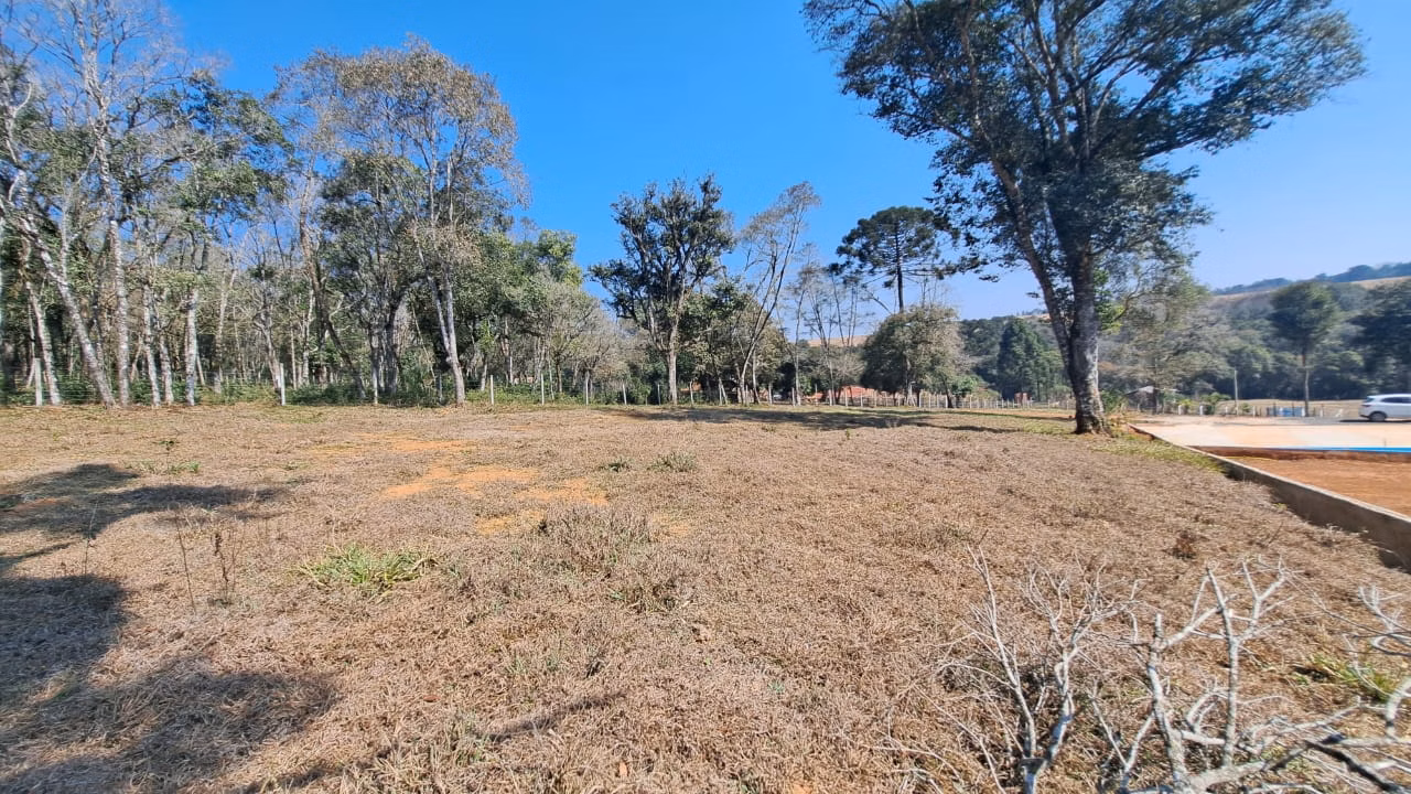 Small farm of 4 acres in Ipiranga, PR, Brazil