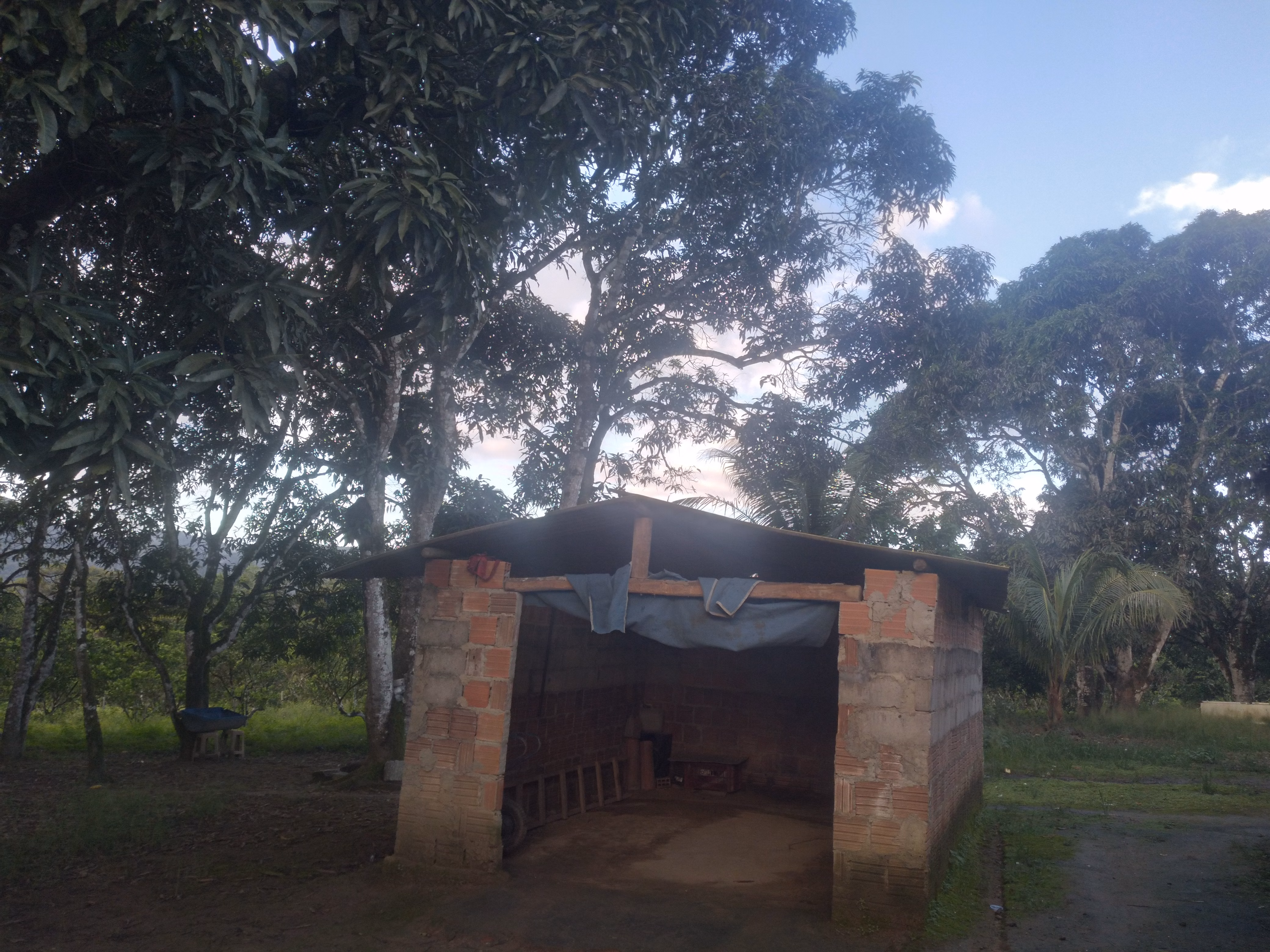 Small farm of 15 acres in Branquinha, AL, Brazil