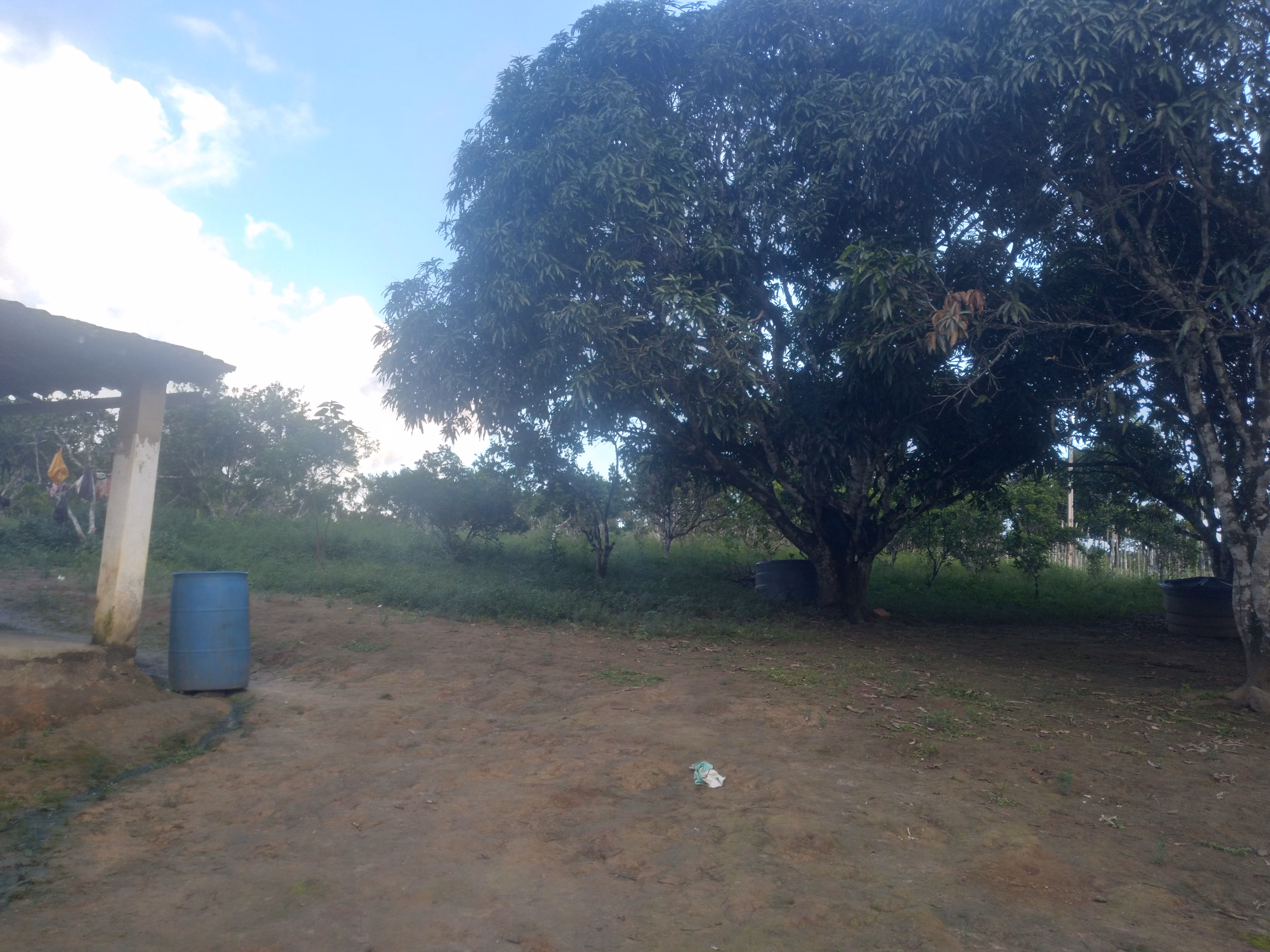 Small farm of 15 acres in Branquinha, AL, Brazil
