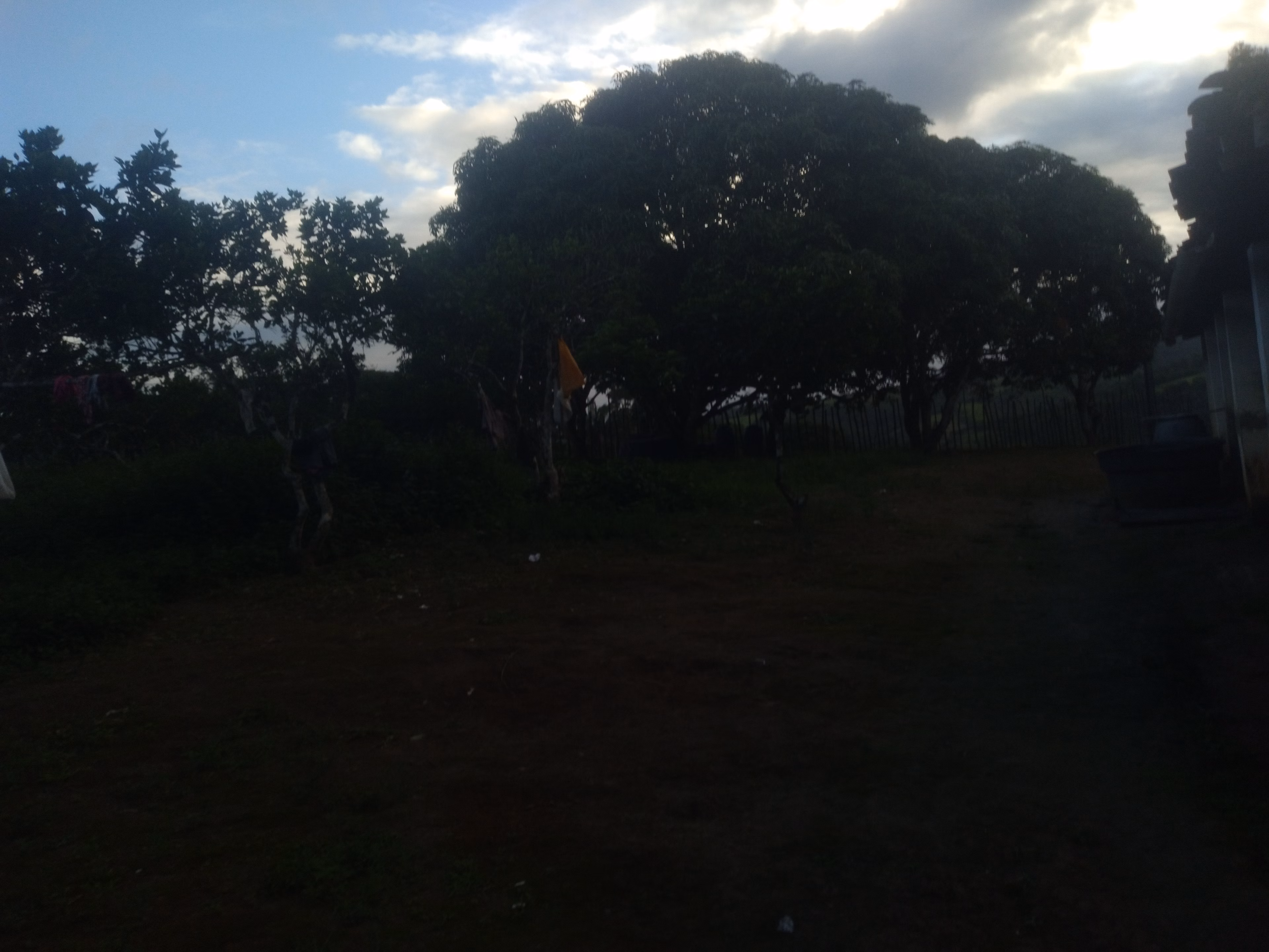 Small farm of 15 acres in Branquinha, AL, Brazil