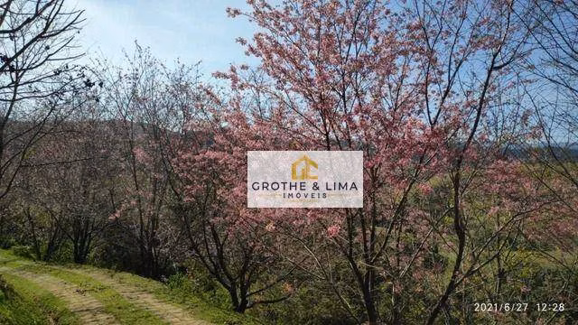 Sítio de 9 ha em Santo Antônio do Pinhal, SP