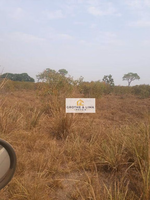 Fazenda de 12.971 ha em Lagoa da Confusão, TO