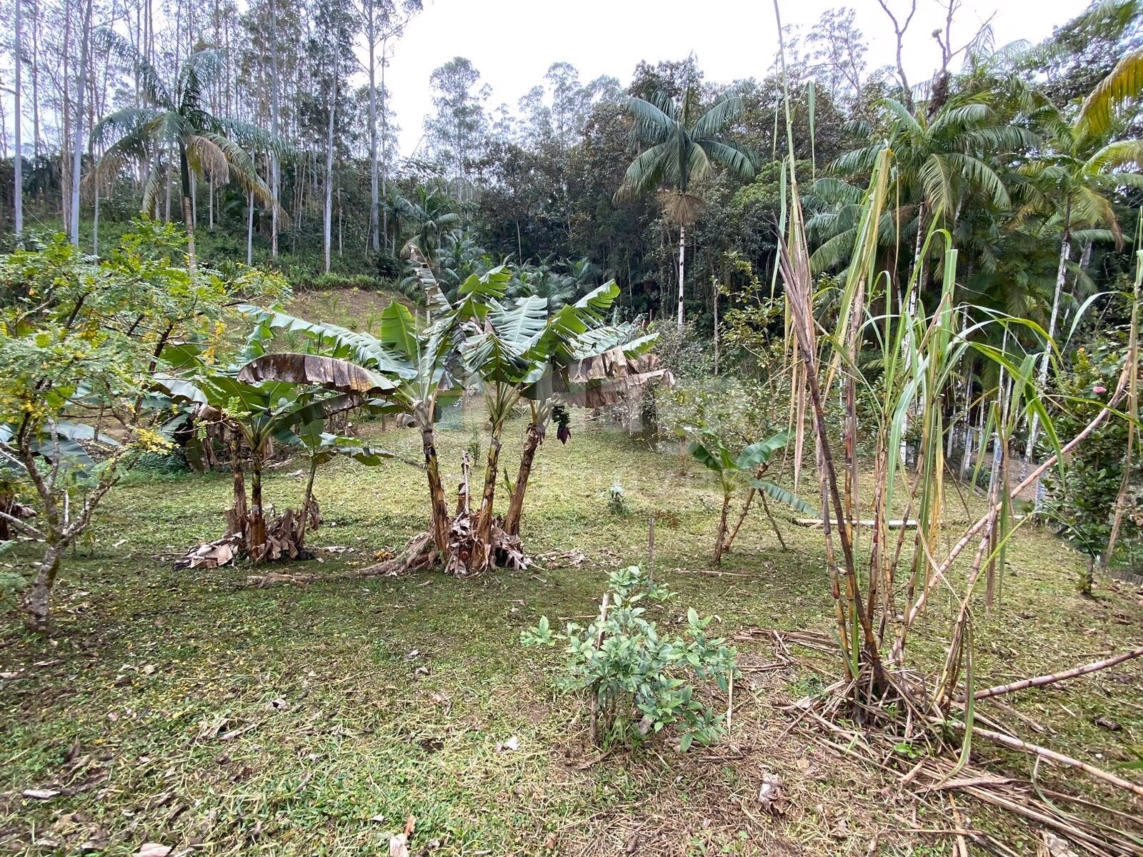 Terreno de 9.110 m² em Guabiruba, SC