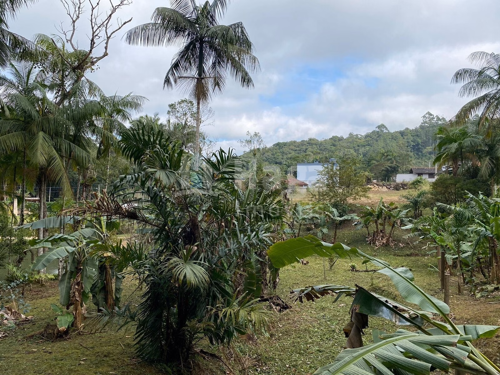 Terreno de 9.110 m² em Guabiruba, SC