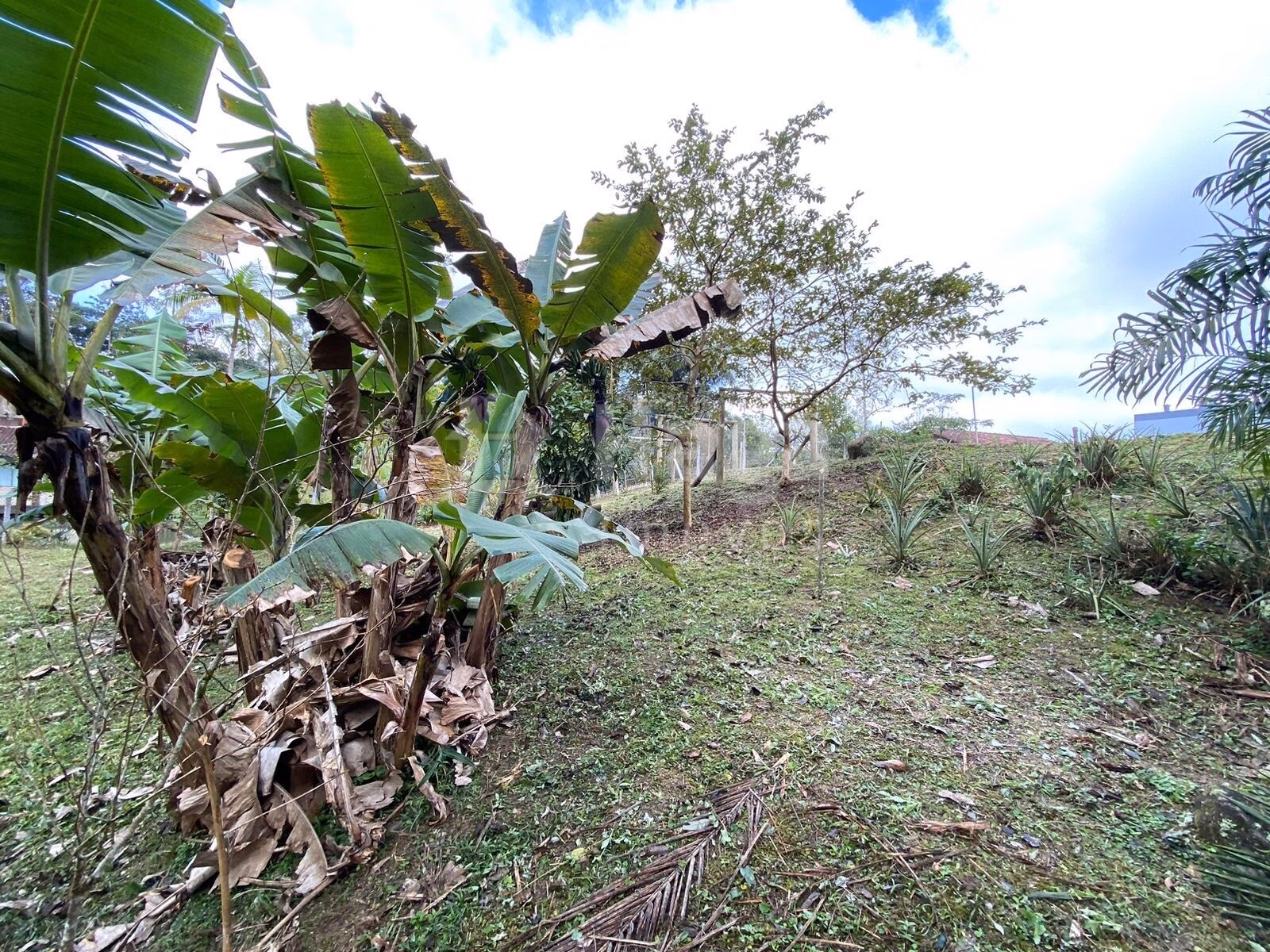 Terreno de 9.110 m² em Guabiruba, SC