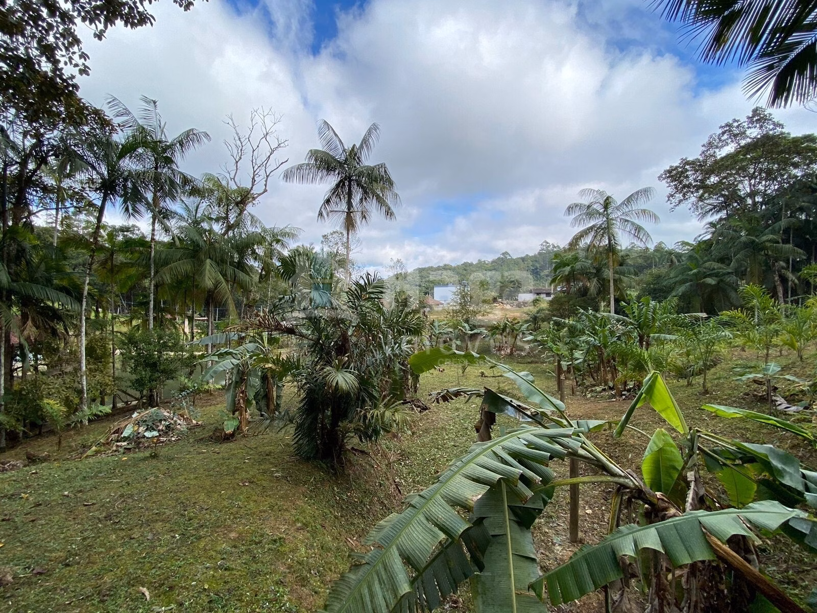 Terreno de 9.110 m² em Guabiruba, SC