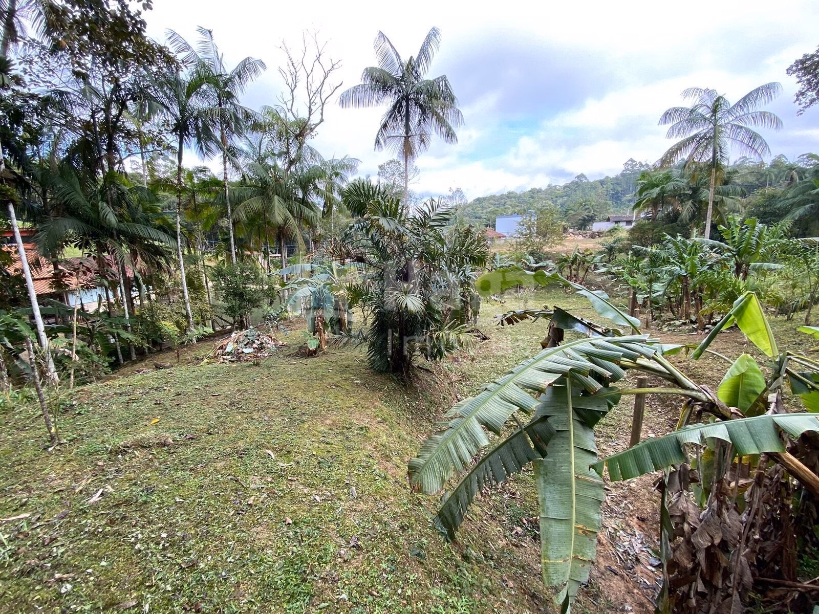 Terreno de 9.110 m² em Guabiruba, SC