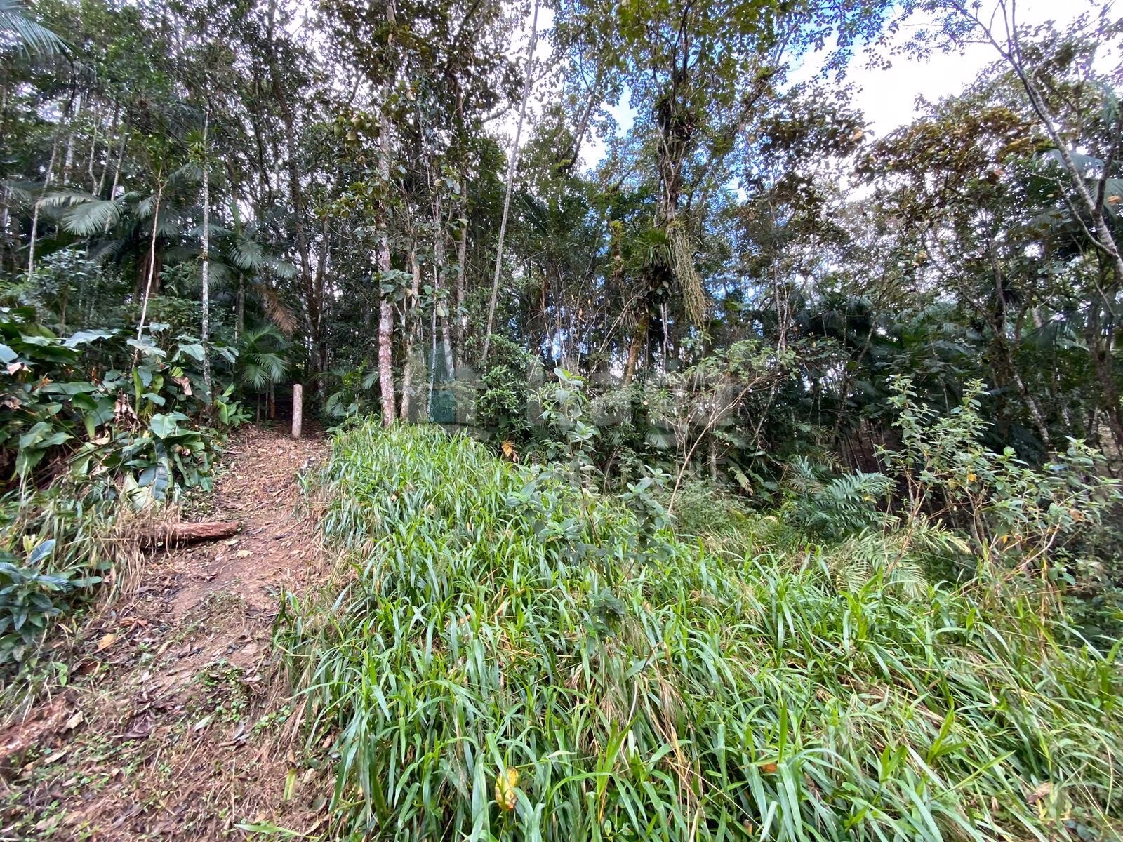 Terreno de 9.110 m² em Guabiruba, SC
