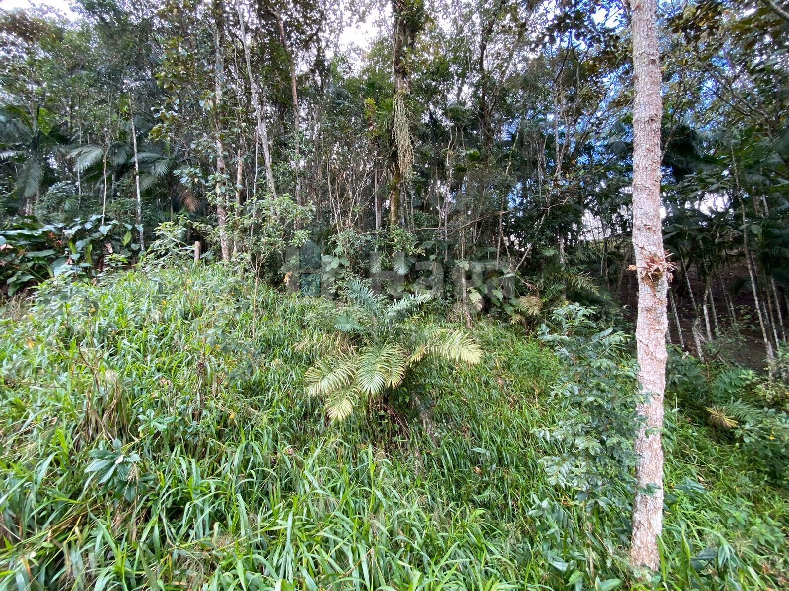 Terreno de 9.110 m² em Guabiruba, SC