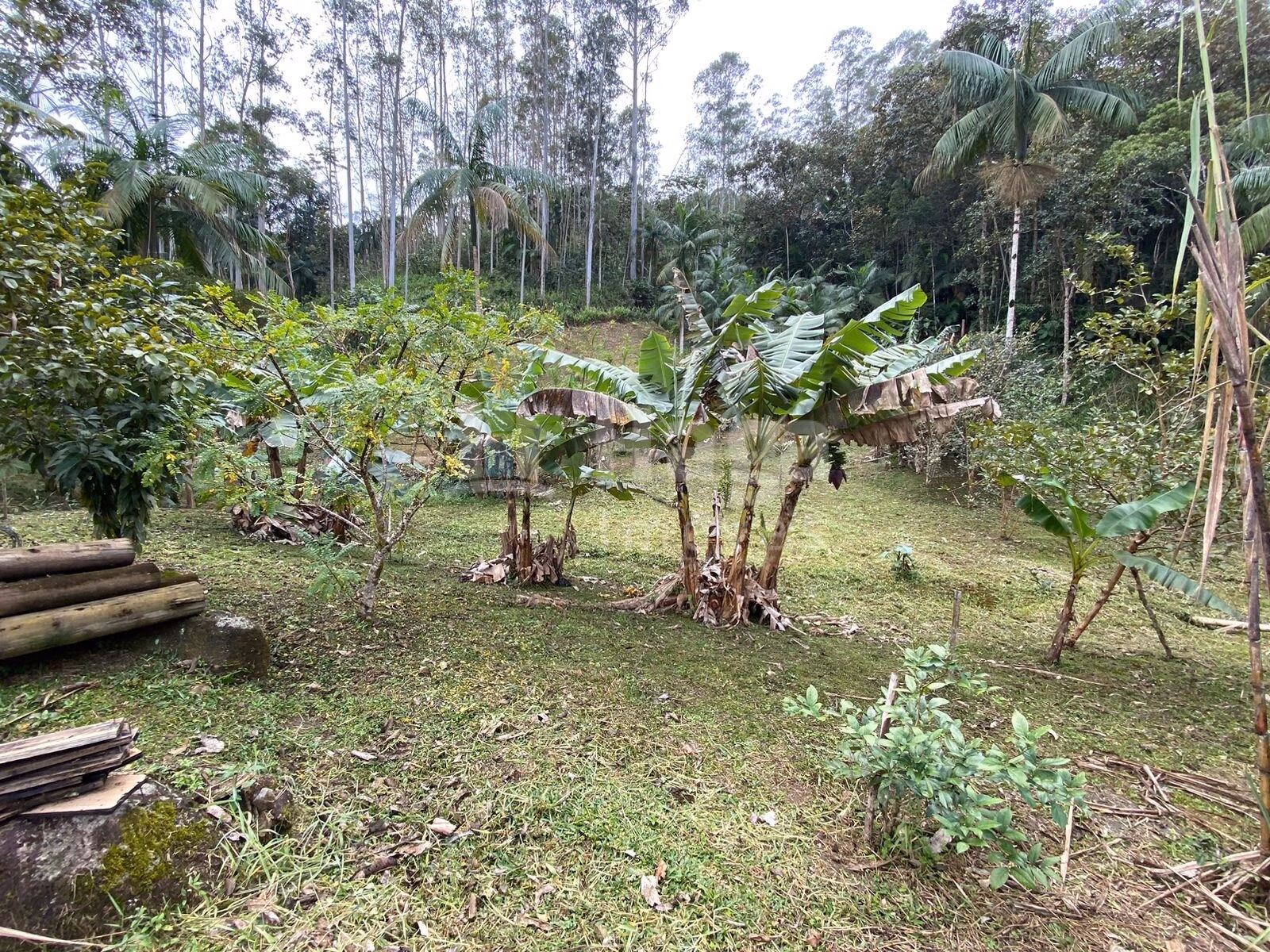 Terreno de 9.110 m² em Guabiruba, SC