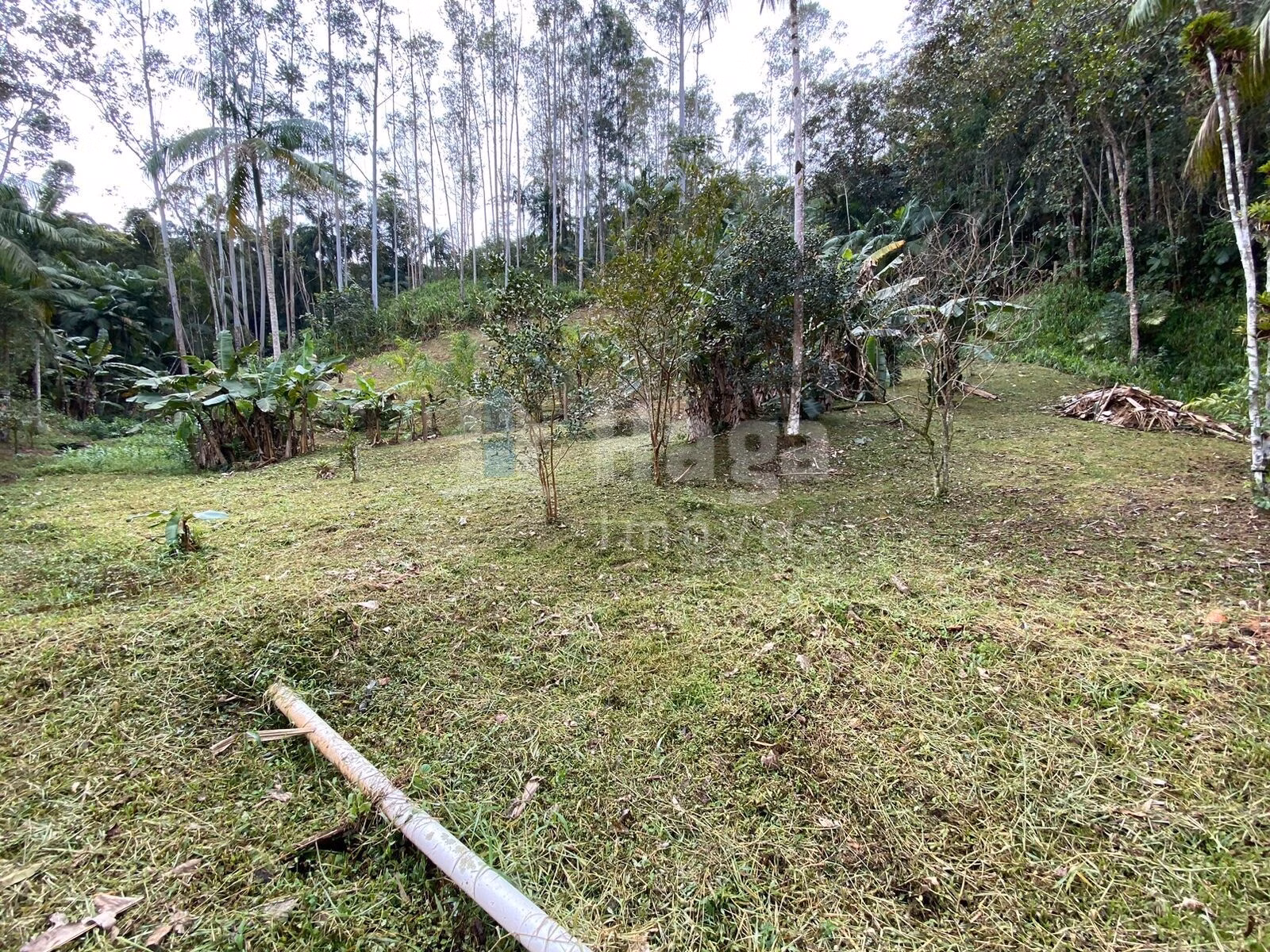 Terreno de 9.110 m² em Guabiruba, SC