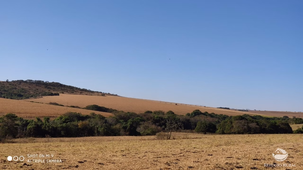 Fazenda de 1.960 ha em Campo Alegre de Goiás, GO