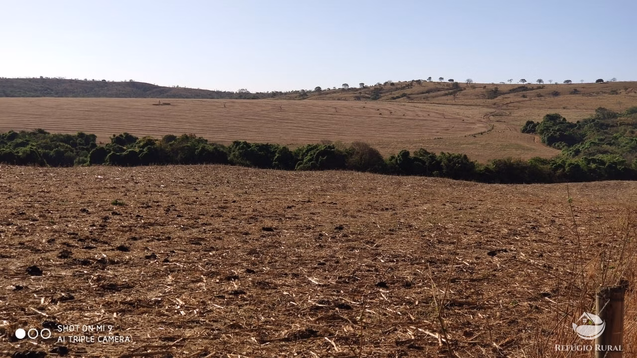 Fazenda de 1.960 ha em Campo Alegre de Goiás, GO