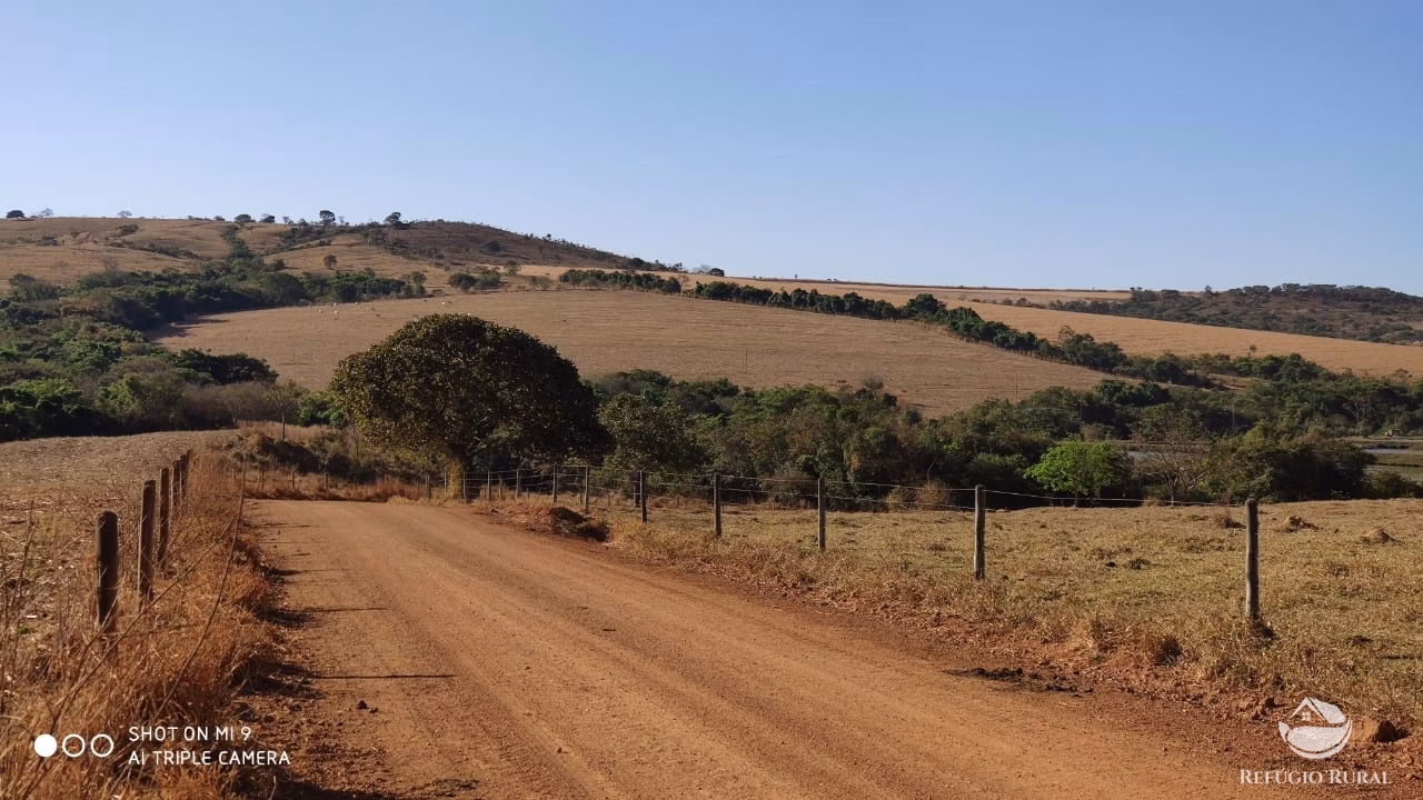Fazenda de 1.960 ha em Campo Alegre de Goiás, GO