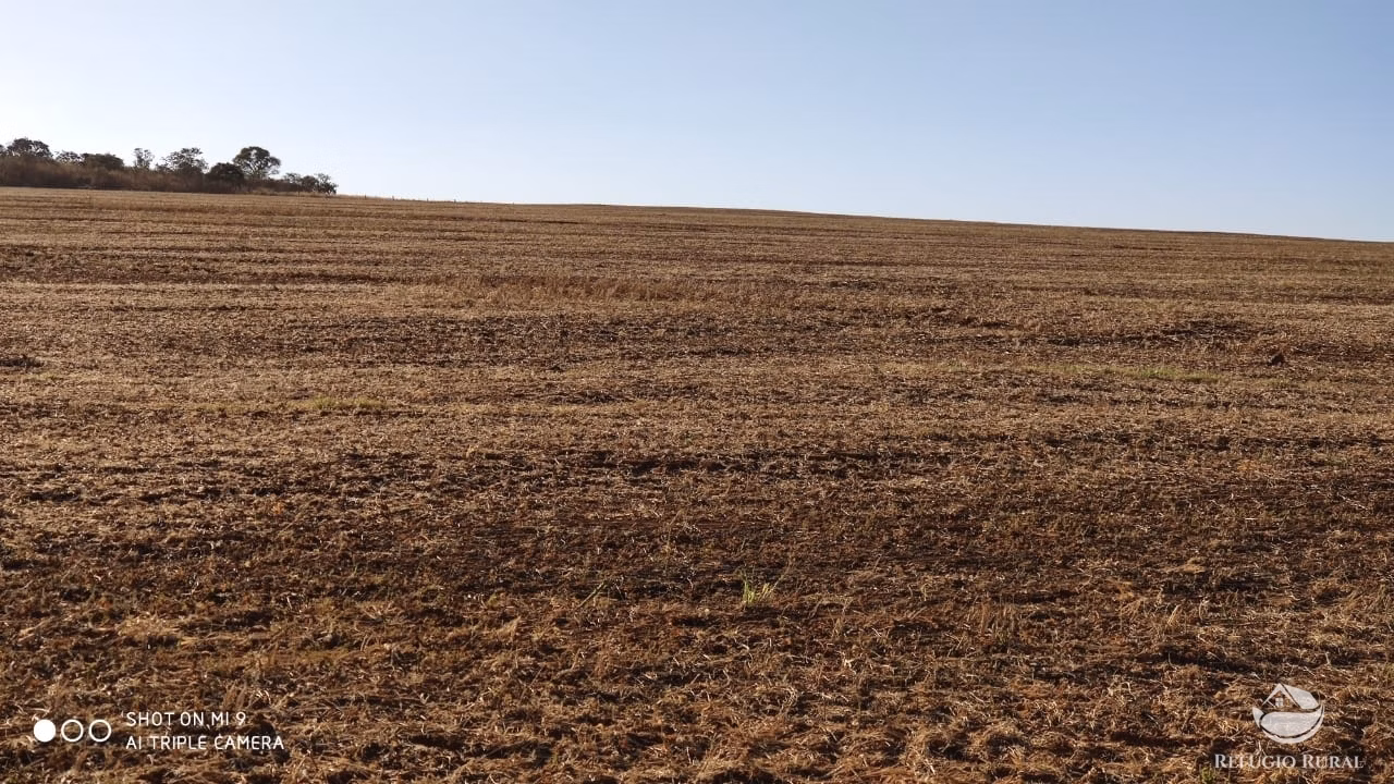Fazenda de 1.960 ha em Campo Alegre de Goiás, GO