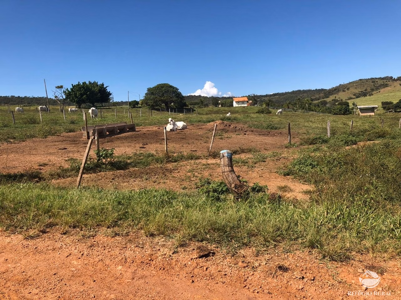 Fazenda de 1.960 ha em Campo Alegre de Goiás, GO