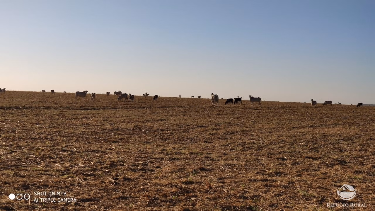 Fazenda de 1.960 ha em Campo Alegre de Goiás, GO