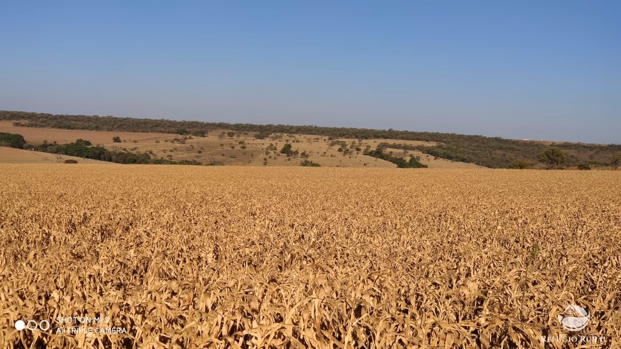 Fazenda de 1.960 ha em Campo Alegre de Goiás, GO