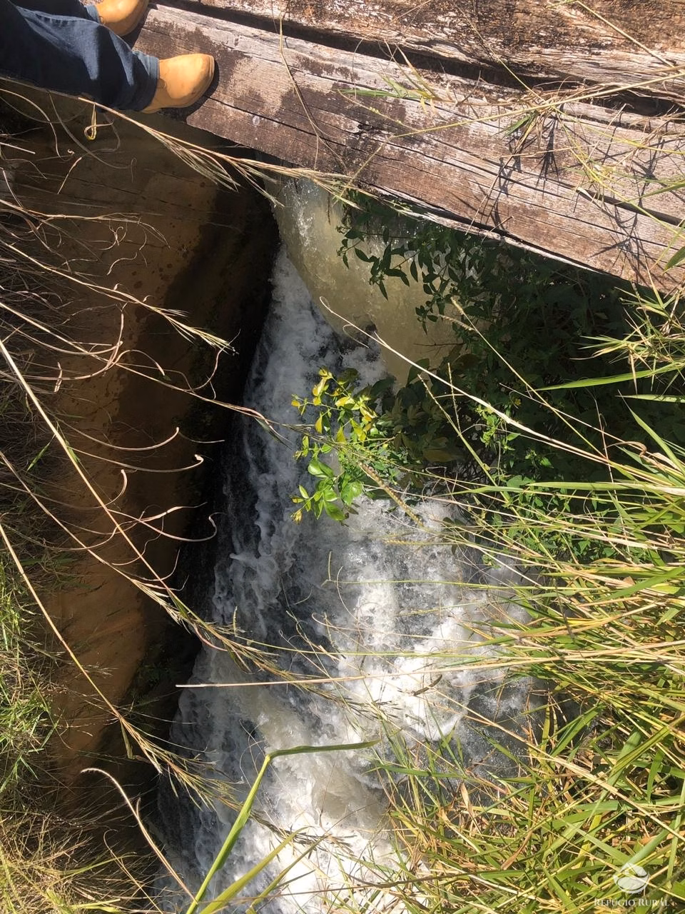Fazenda de 1.960 ha em Campo Alegre de Goiás, GO