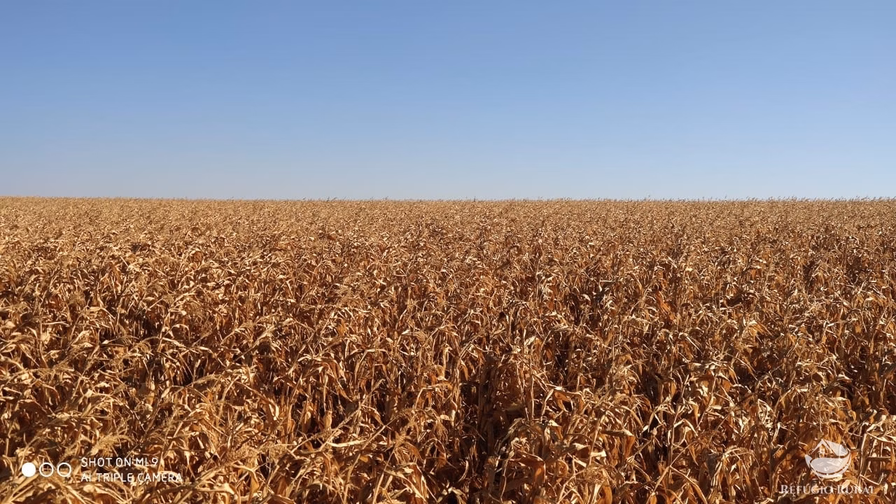 Fazenda de 1.960 ha em Campo Alegre de Goiás, GO