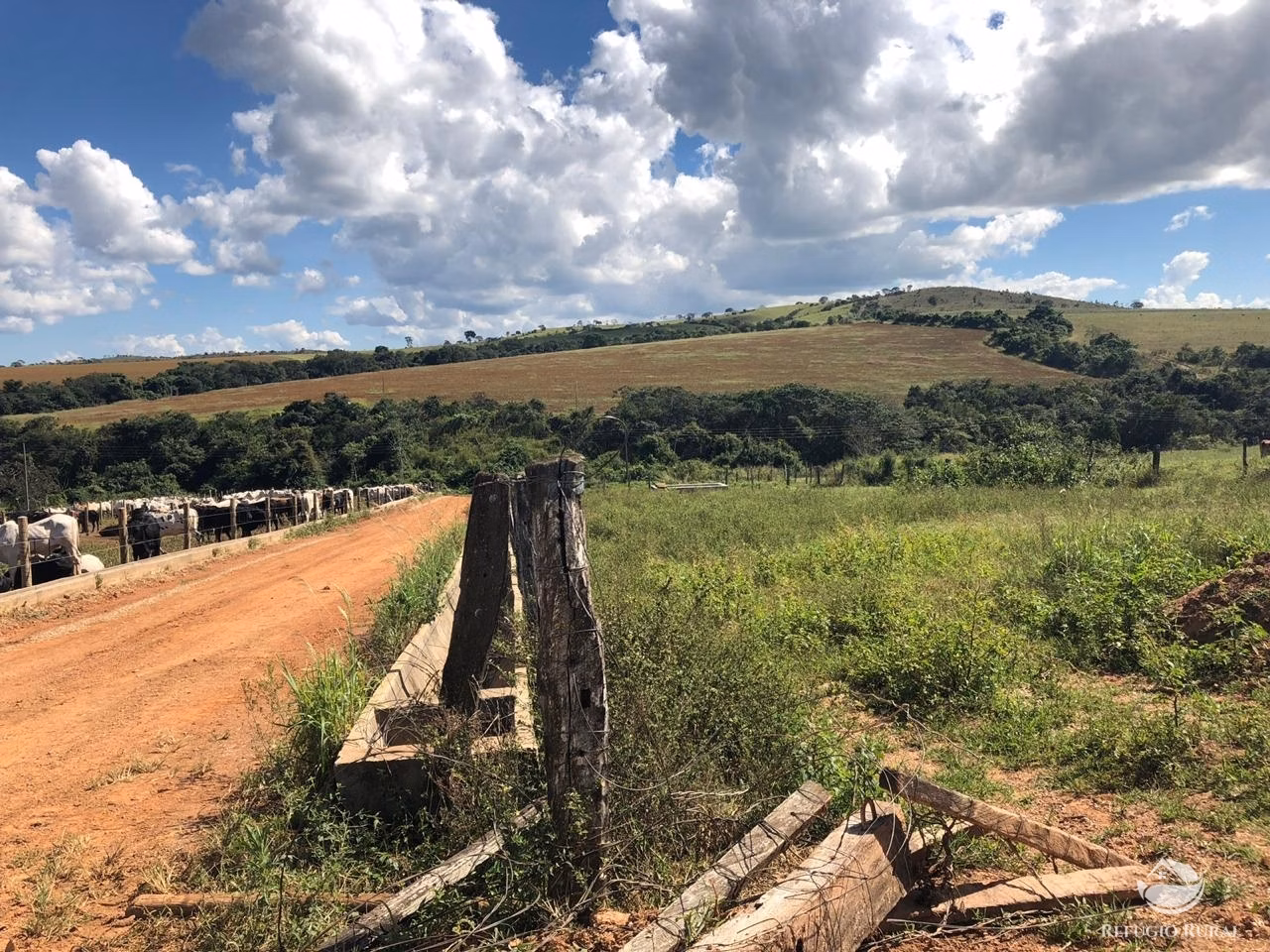 Fazenda de 1.960 ha em Campo Alegre de Goiás, GO