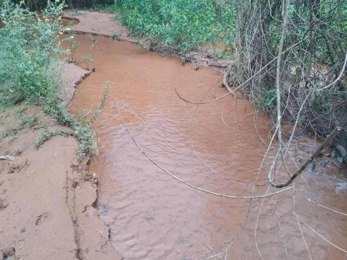 Kleiner Bauernhof zum Verkauf von 48 ha in Santo Antônio da Alegria, SP