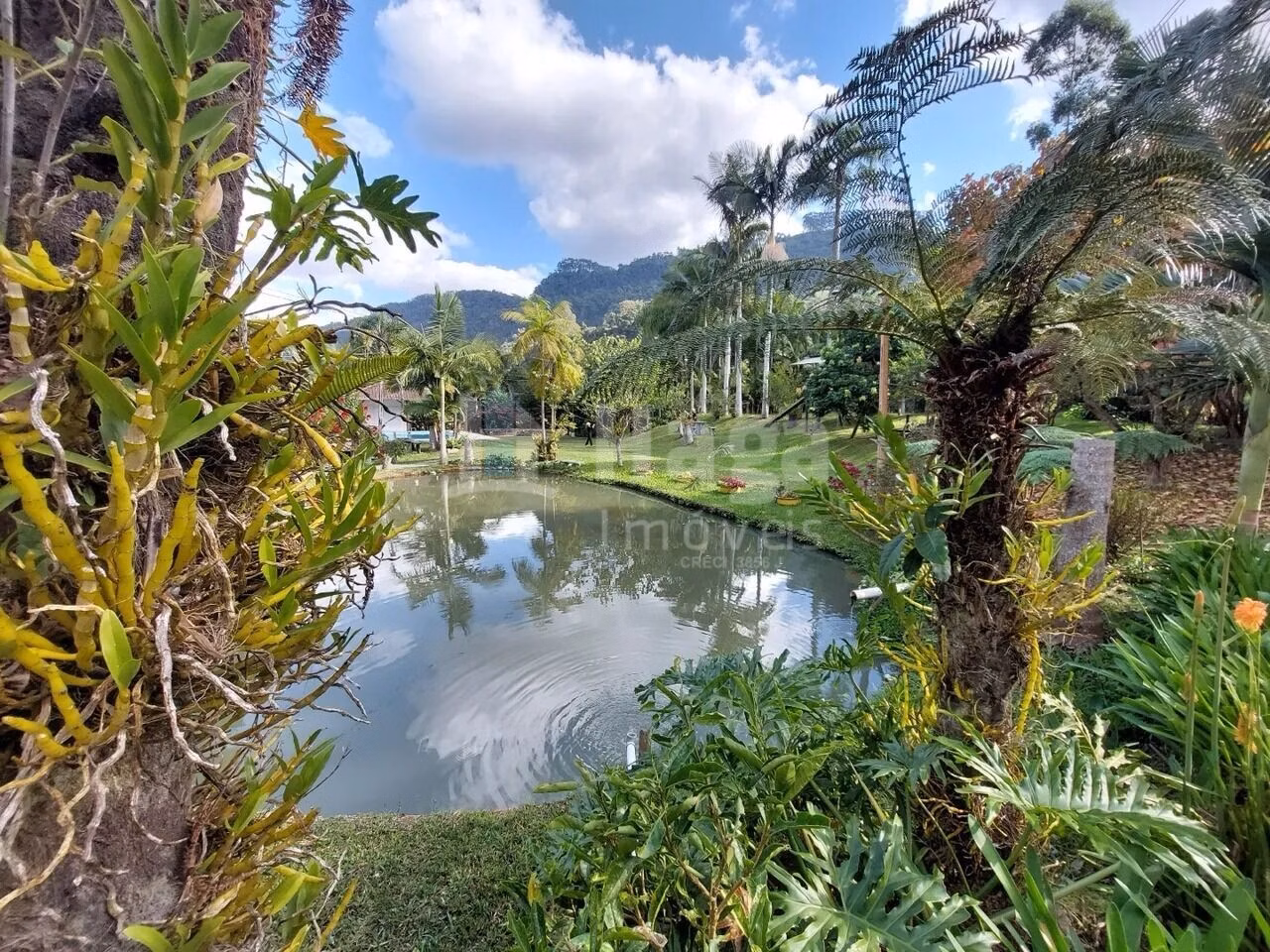 Fazenda de 3 ha em Vidal Ramos, SC