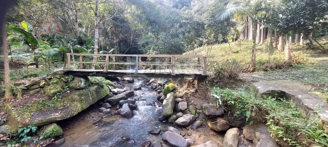 Fazenda de 3 ha em Vidal Ramos, SC