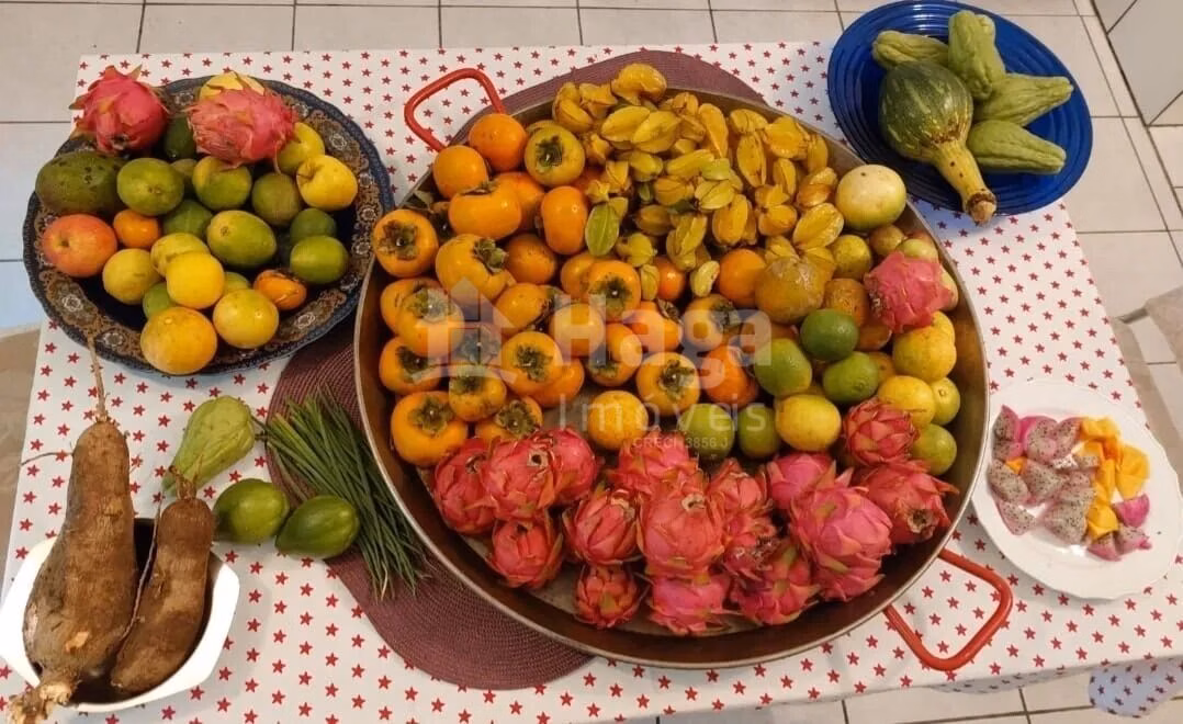 Fazenda de 3 ha em Vidal Ramos, SC