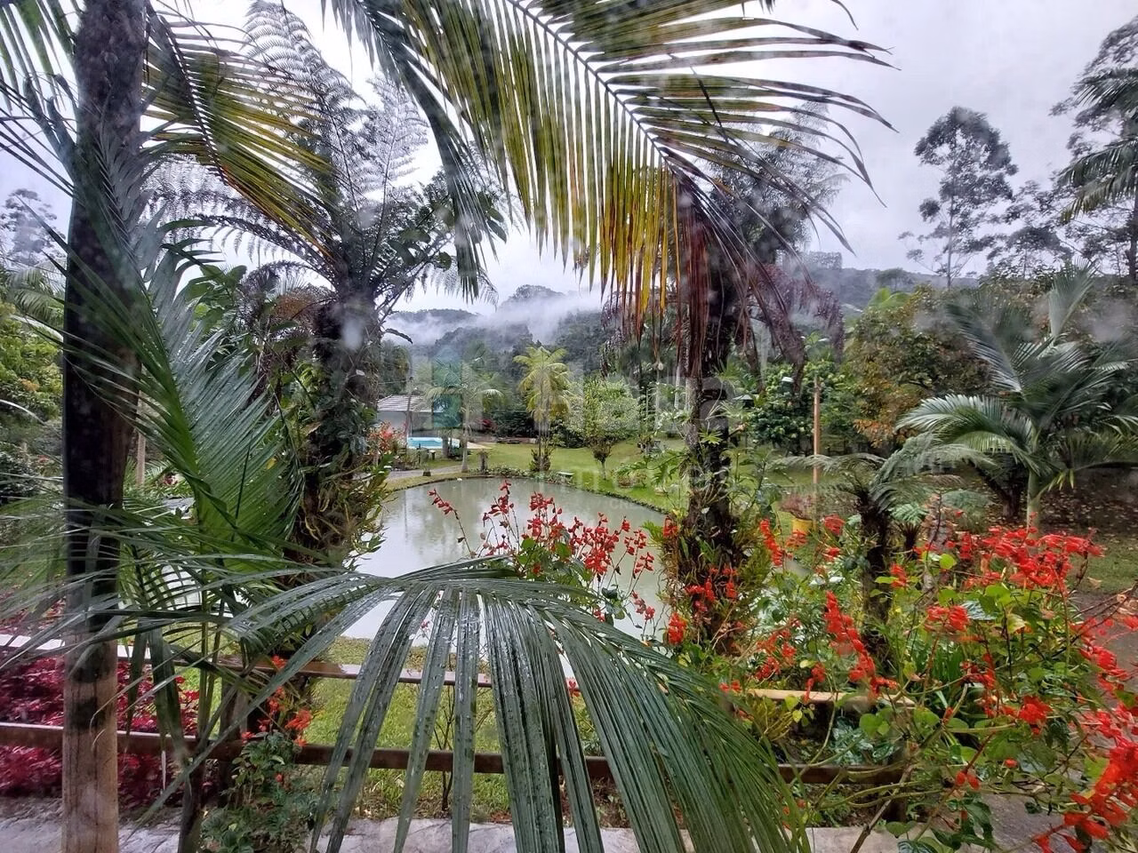 Fazenda de 3 ha em Vidal Ramos, SC