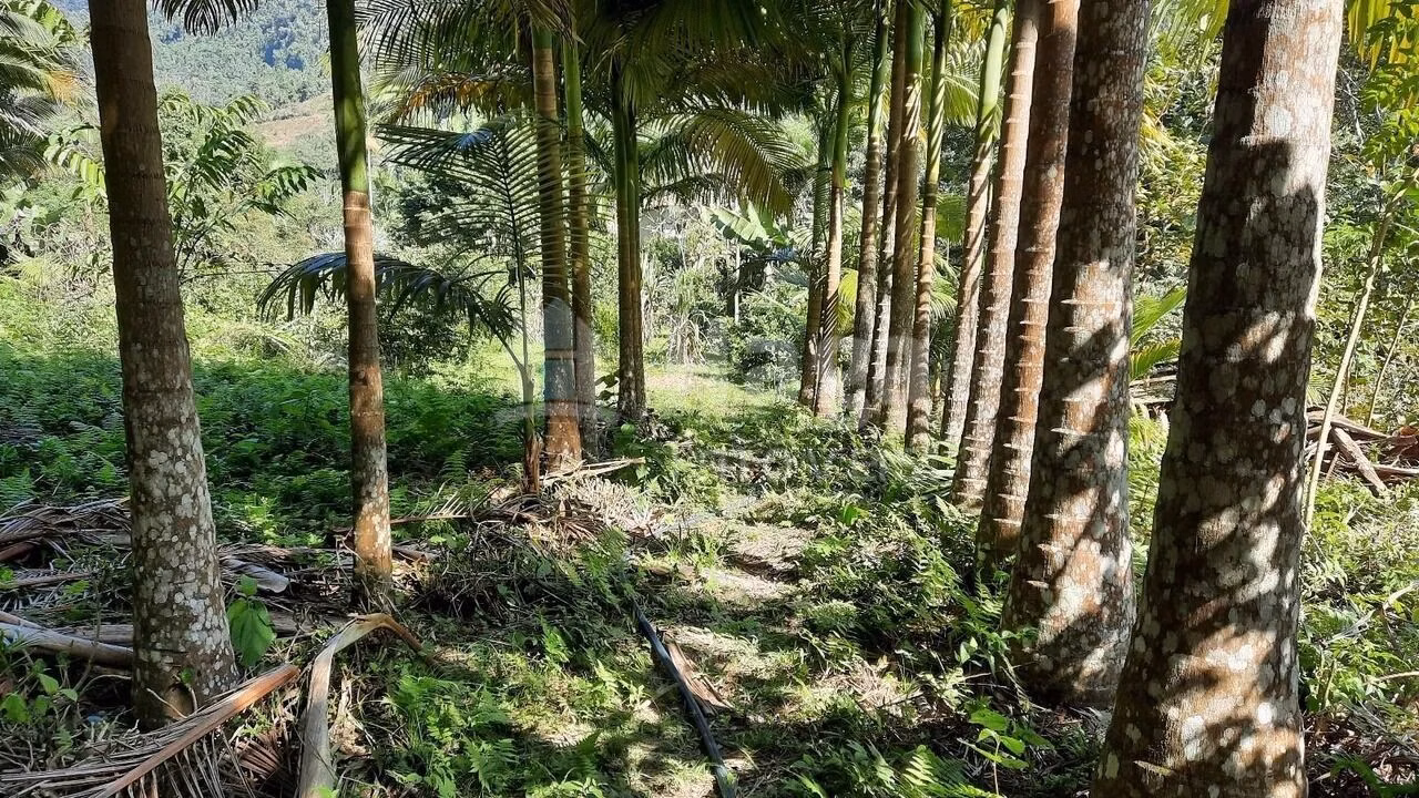 Fazenda de 3 ha em Vidal Ramos, SC
