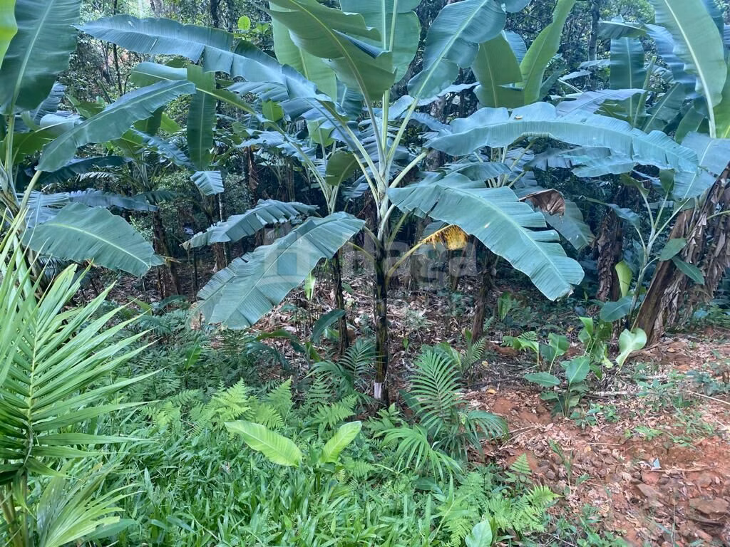 Terreno de 3.800 m² em Canelinha, SC