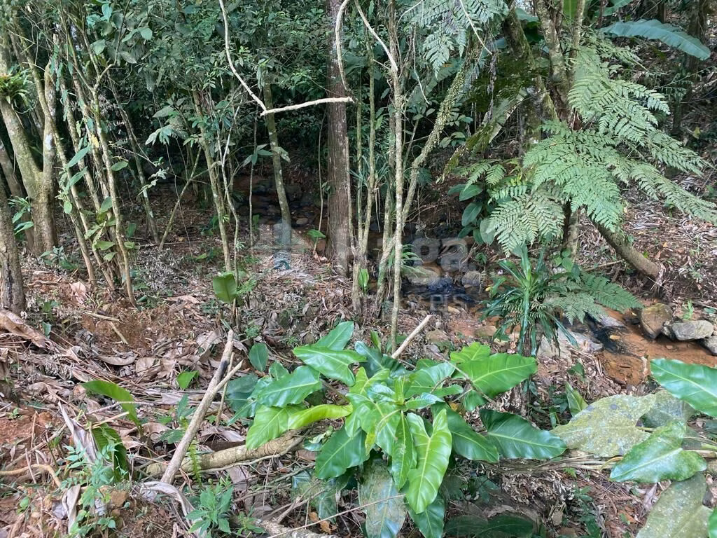 Terreno de 3.800 m² em Canelinha, SC