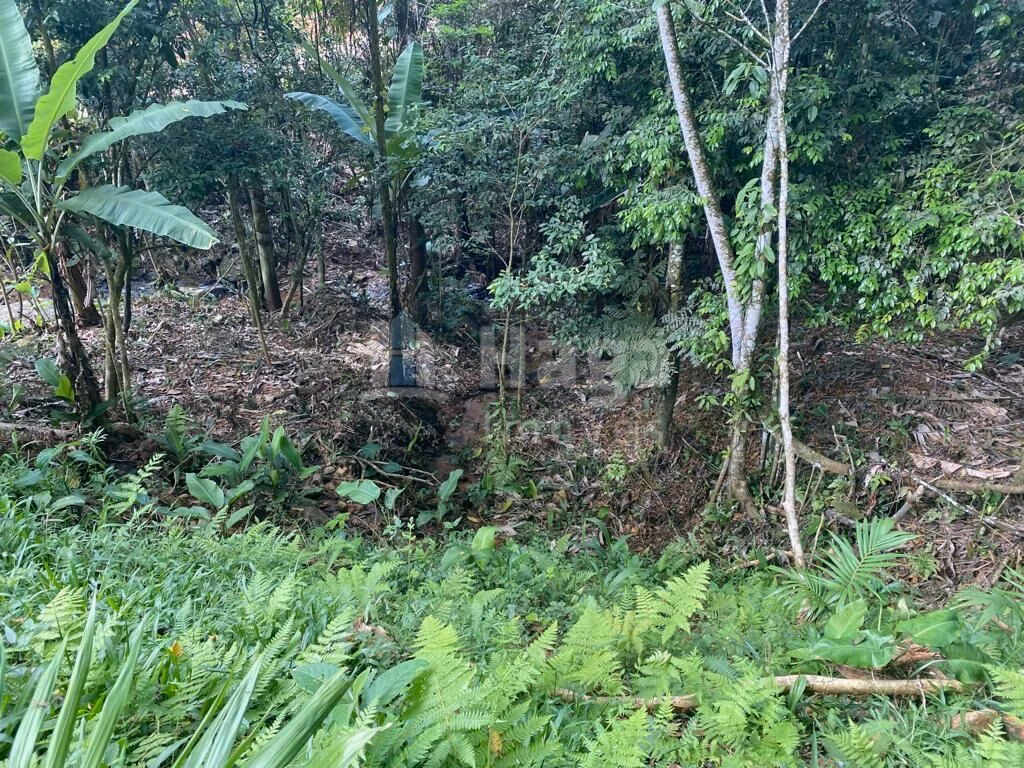 Terreno de 3.800 m² em Canelinha, SC