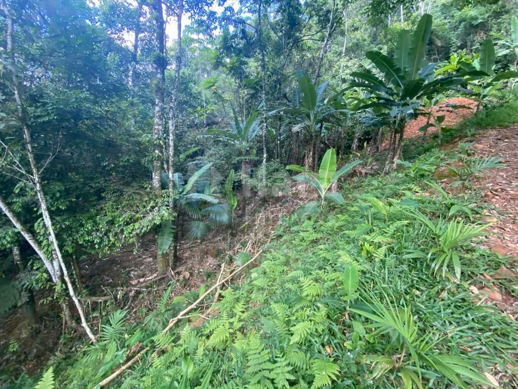 Terreno de 3.800 m² em Canelinha, SC