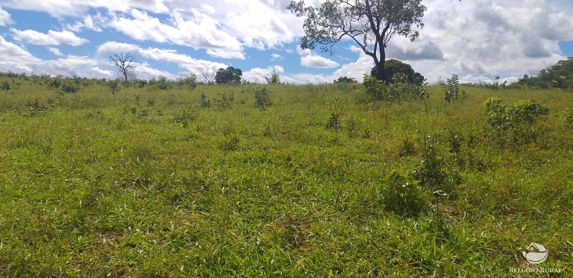 Fazenda de 4.400 ha em Camapuã, MS