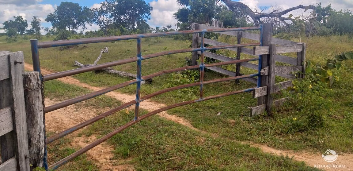 Fazenda de 4.400 ha em Camapuã, MS