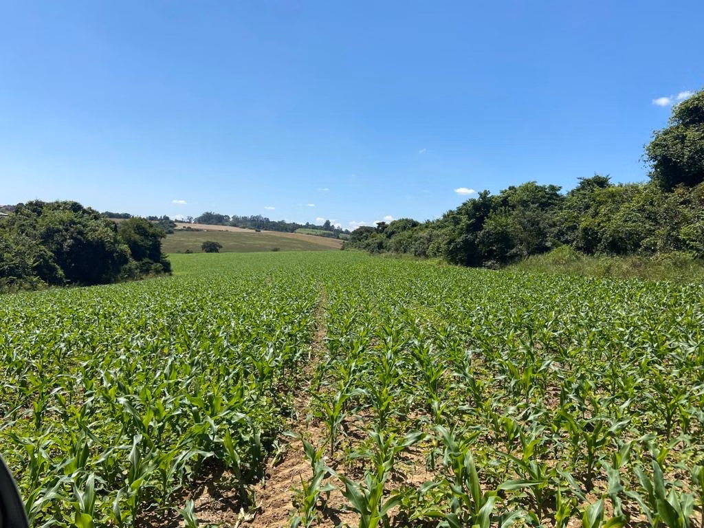 Fazenda de 242 ha em Sorocaba, SP