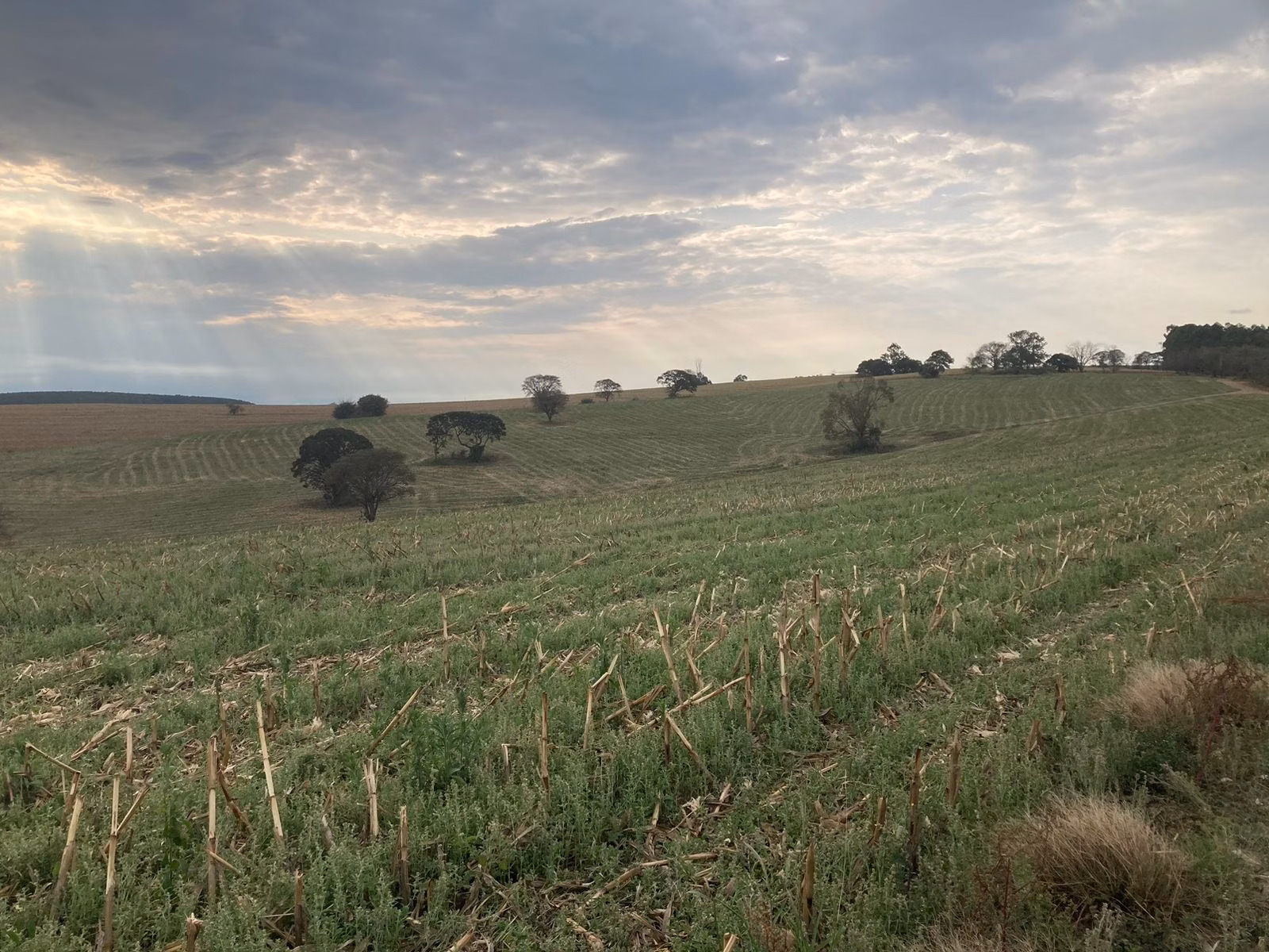 Fazenda de 242 ha em Sorocaba, SP