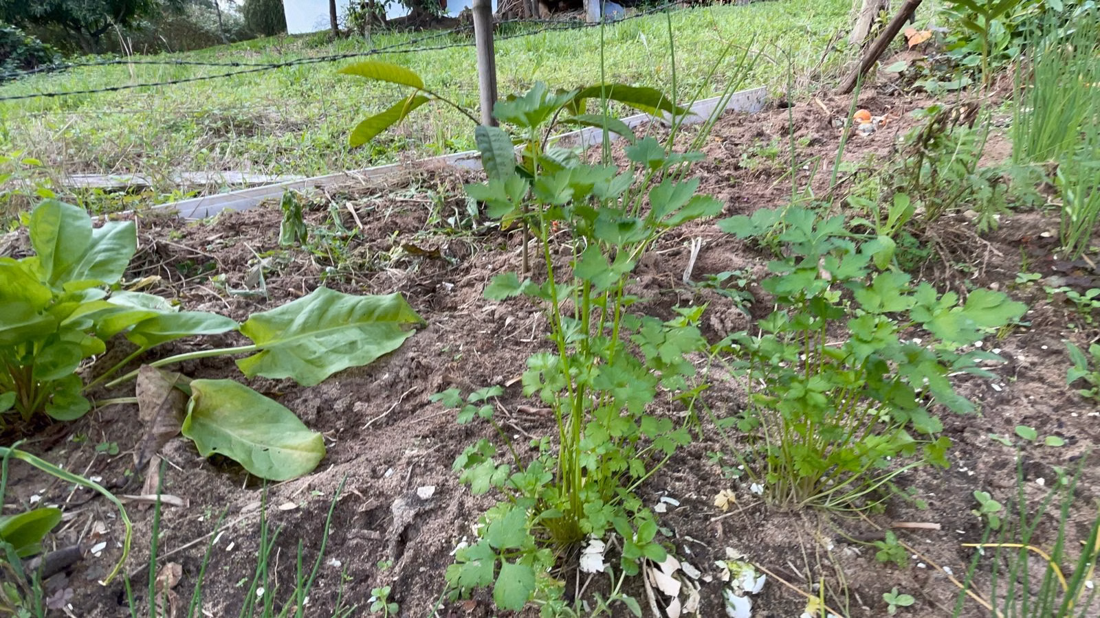 Terreno de 625 m² em Santo Antônio da Patrulha, RS