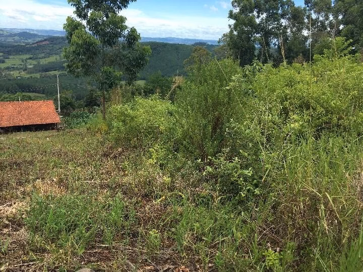 Chácara de 5.300 m² em Rolante, RS