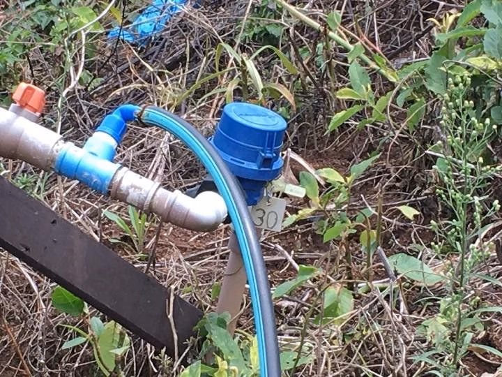 Chácara de 5.300 m² em Rolante, RS